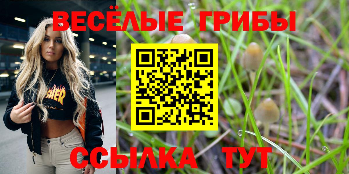 Галлюциногенные грибы Psilocybine cubensis  Вход с VPN  Углич  Псилоцибиновые грибы Magic Shrooms 